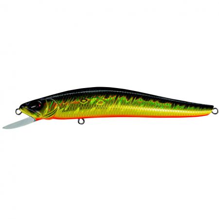 C4 Minnow - Faded | Gold Slick Prism