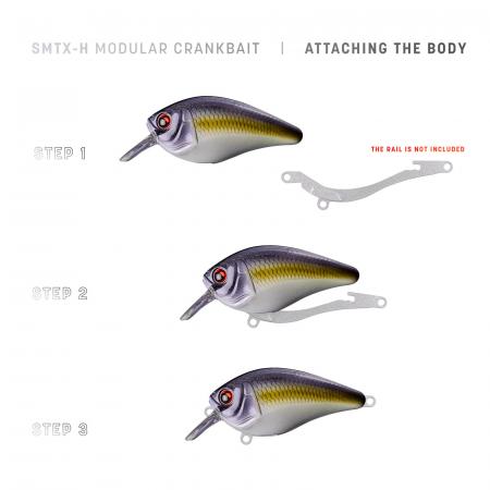  Body: SMTX-H Crankbait - TTN | Sexy Sandeel (Holo)
