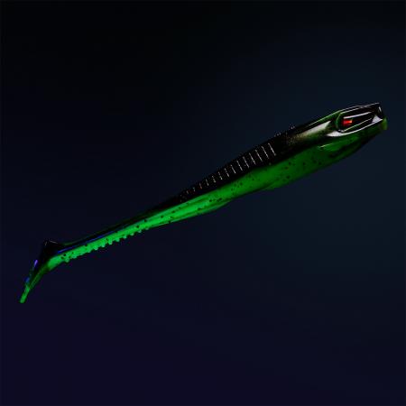 Holi Shad 5