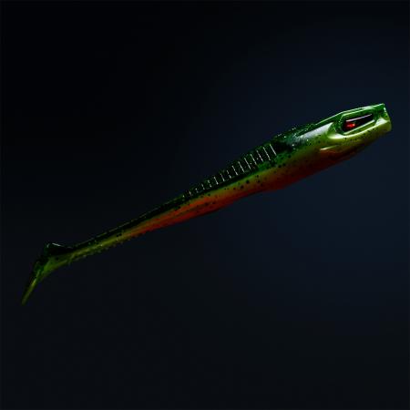  Holi Shad 5