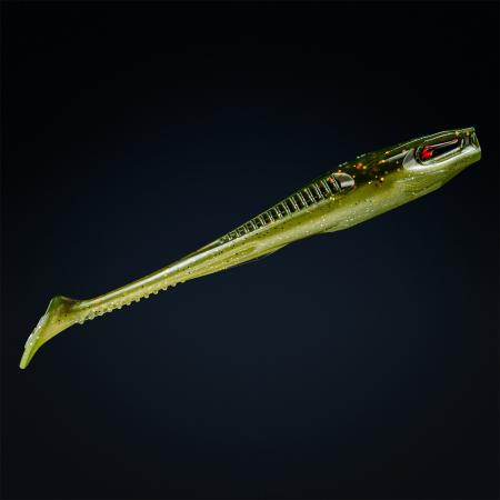  Holi Shad 5