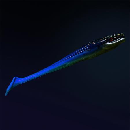  Holi Shad 5