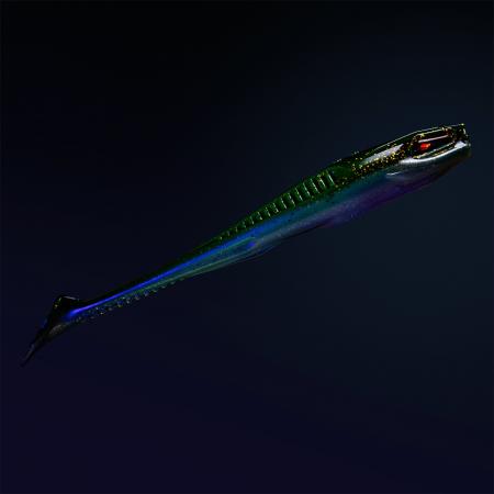  Holi Shad 5