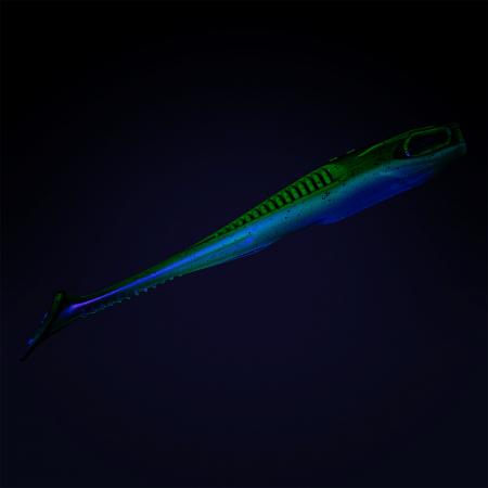  Holi Shad 5