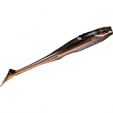  Holi Shad 5